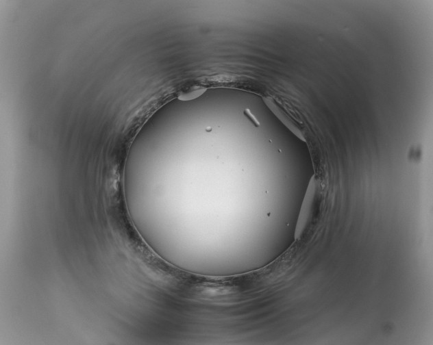 X0000113090555200909111030