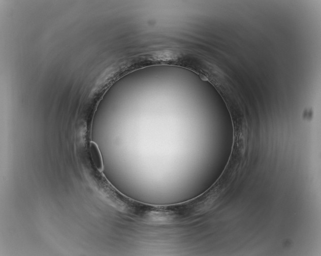 X0000113090556200909111030