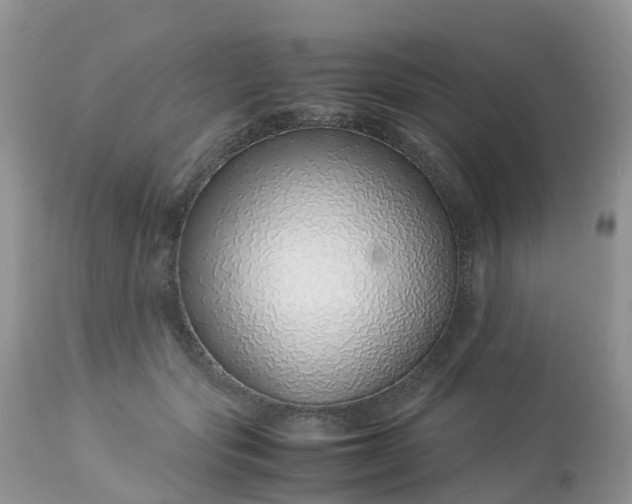 X0000113090557200909111030