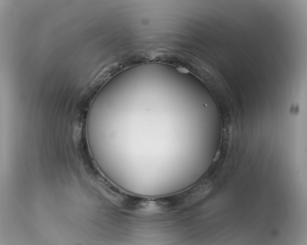 X0000113090558200909111030