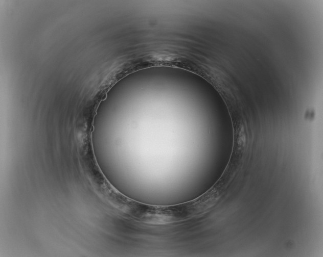 X0000113090559200909111030