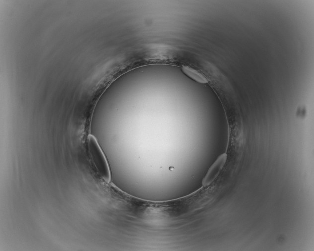 X0000113090560200909111030