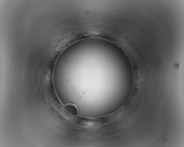 X0000113090563200909111030