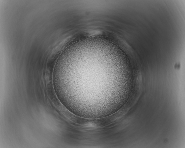 X0000113090565200909111030
