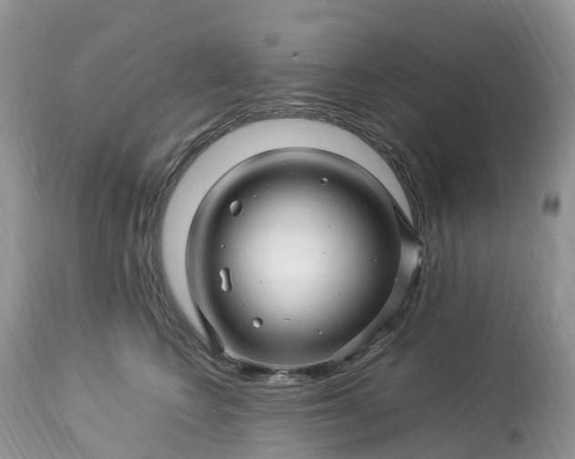 X0000113090566200909111030
