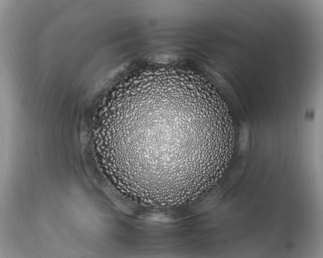 X0000113090569200909111030