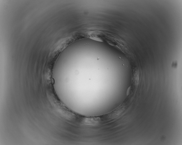 X0000113090571200909111030
