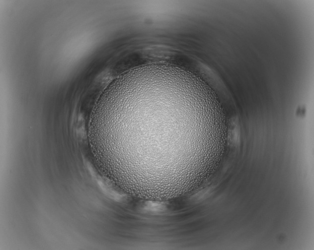 X0000113090573200909111030