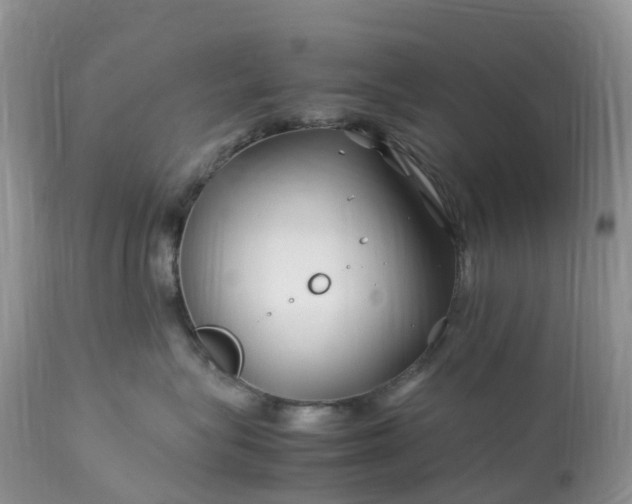 X0000113090575200909111030
