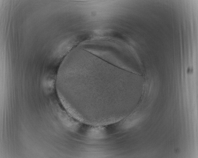 X0000113090576200909111030