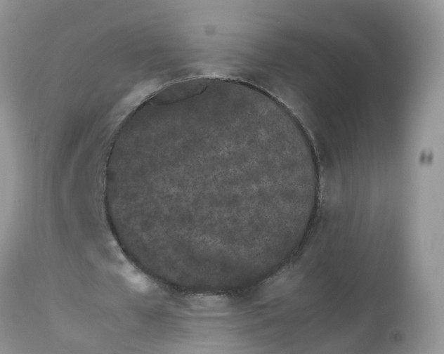 X0000113090577200909111029