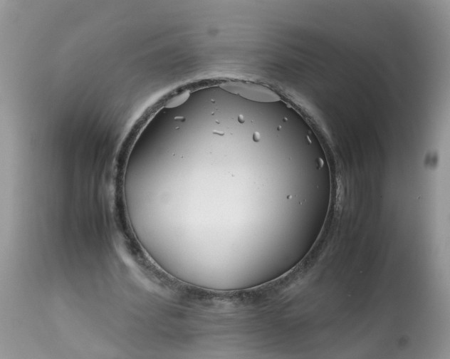 X0000113090580200909111029