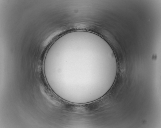 X0000113090583200909111029