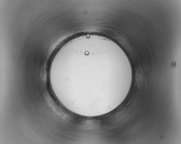 X0000113090584200909111029