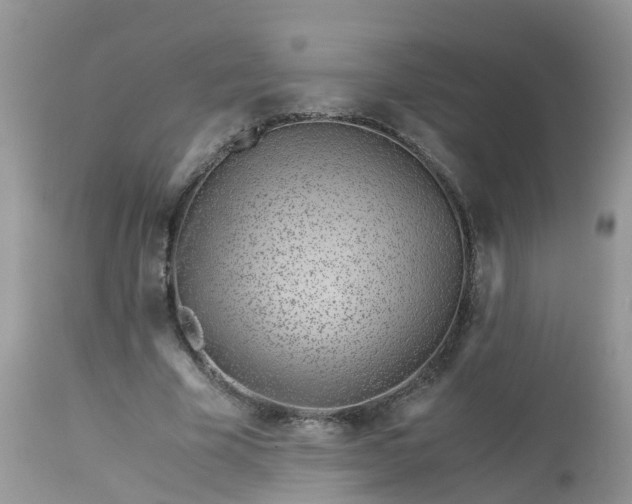 X0000113090585200909111029