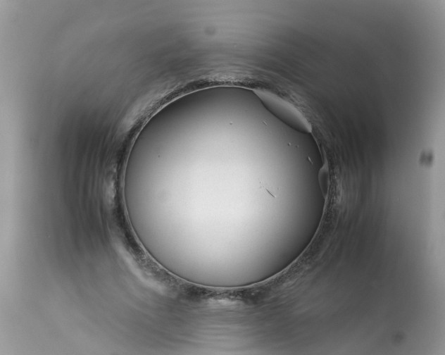 X0000113090586200909111029