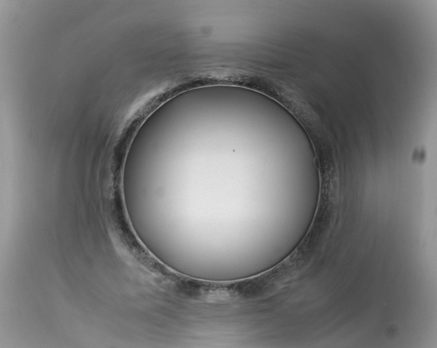 X0000113090587200909111029