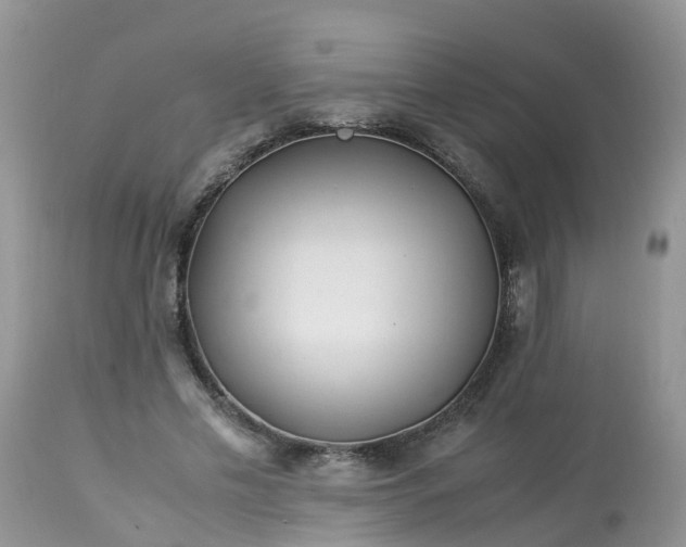 X0000113090589200909111029