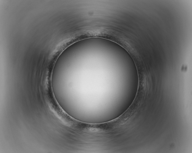 X0000113090590200909111029