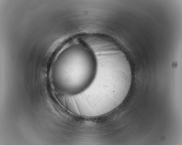 X0000113090592200909111029