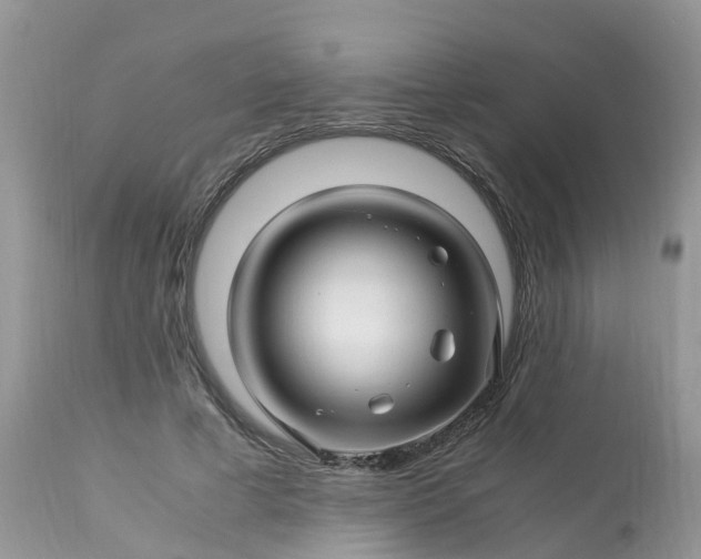 X0000113090593200909111029