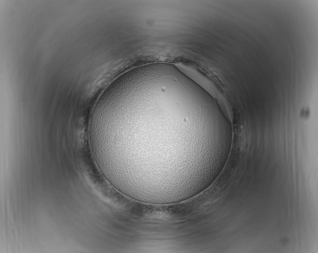 X0000113090594200909111029