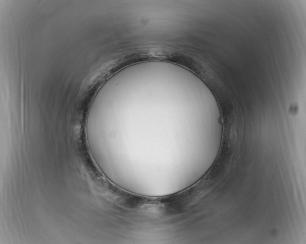 X0000113090595200909111029