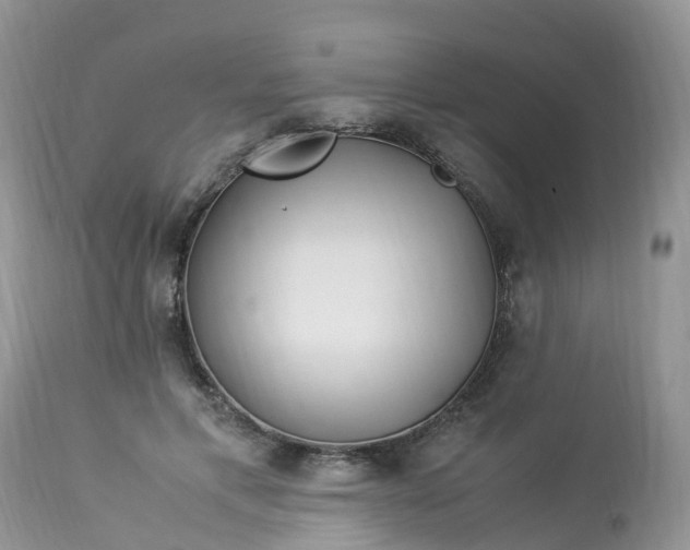 X0000113090597200909111029