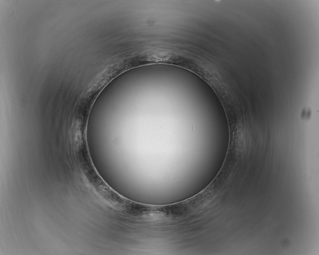 X0000113090598200909111029