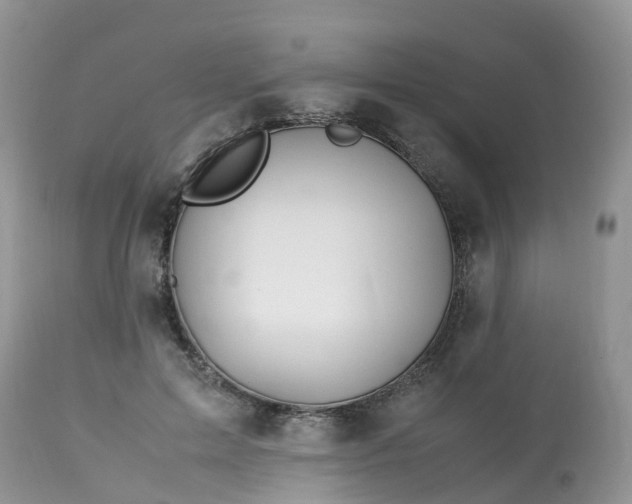 X0000113090599200909111029