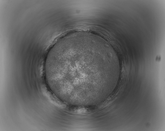 X0000113090600200909111029