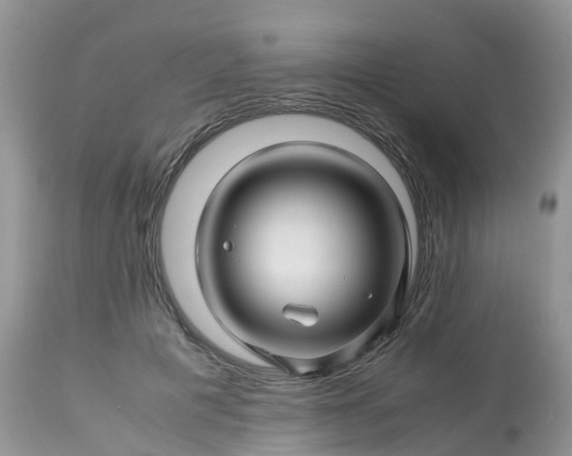 X0000113090601200909111029
