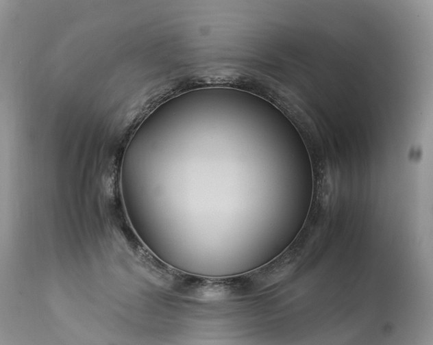 X0000113090604200909111029