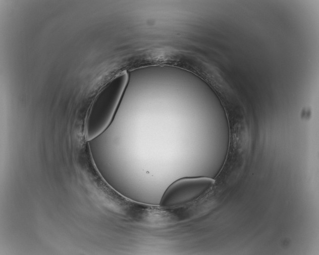 X0000113090605200909111029