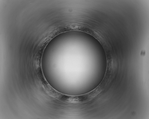 X0000113090606200909111029