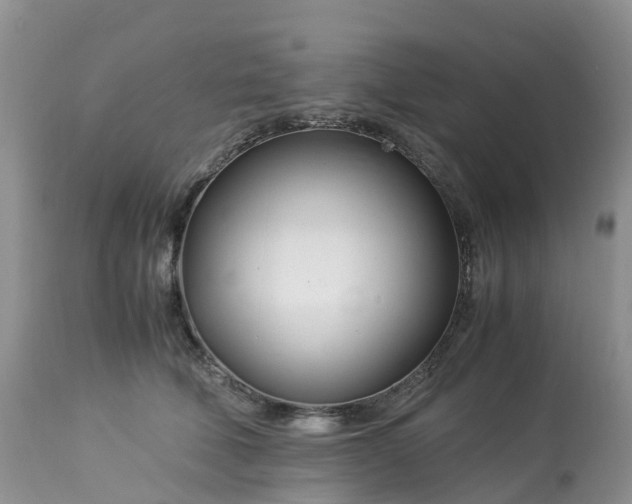 X0000113090610200909111029