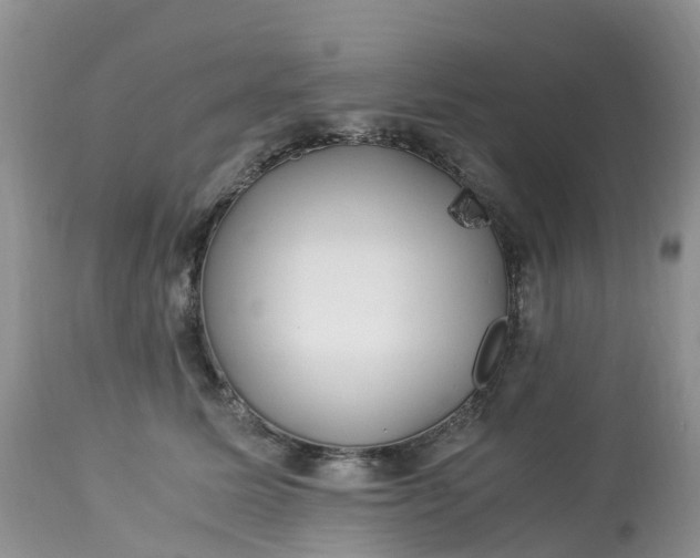 X0000113090611200909111029