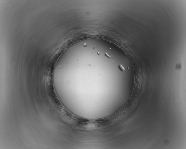 X0000113090612200909111029