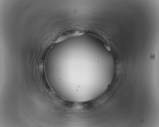 X0000113090613200909111029