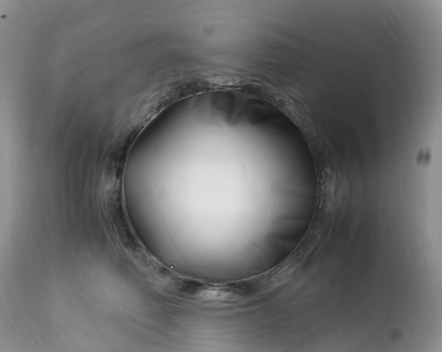 X0000113090614200909111029