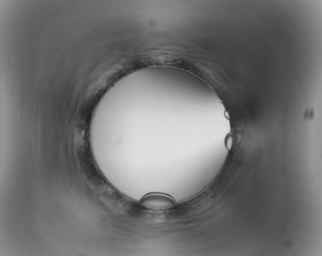 X0000113090615200909111029