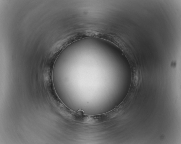 X0000113090616200909111029