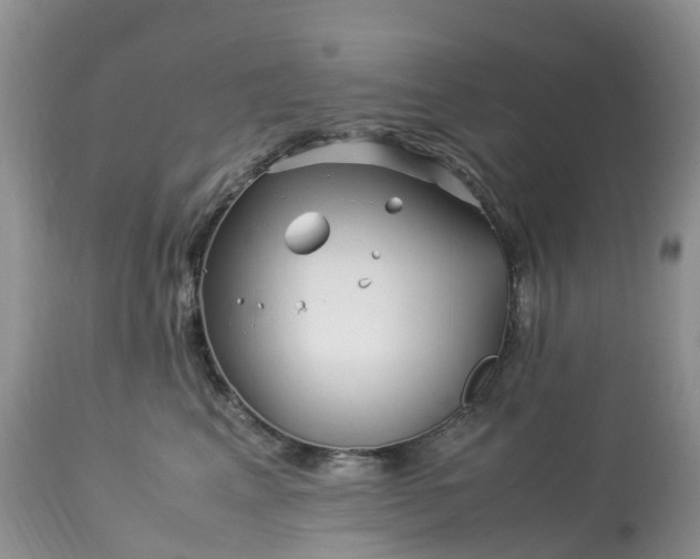 X0000113090617200909111029