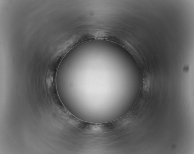 X0000113090618200909111029