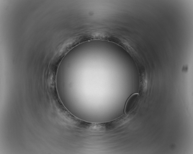 X0000113090619200909111029