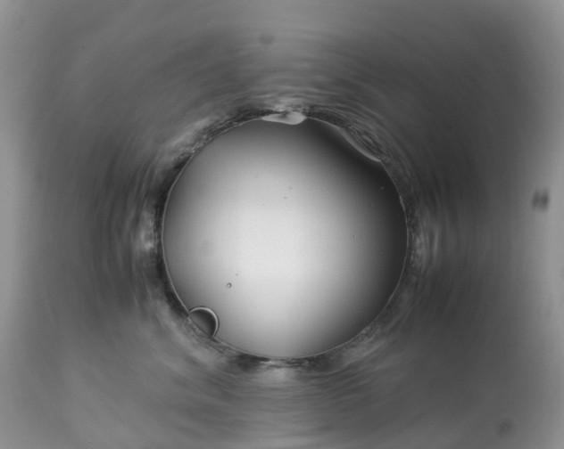 X0000113090620200909111029