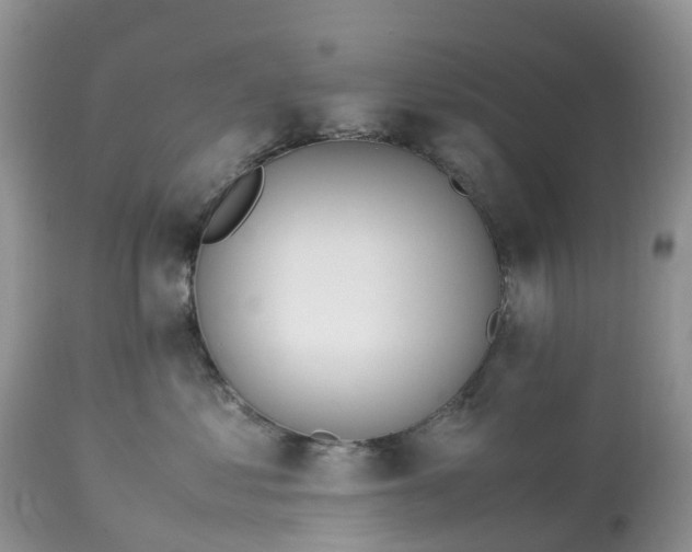 X0000113090621200909111029