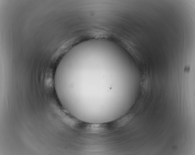 X0000113090622200909111029