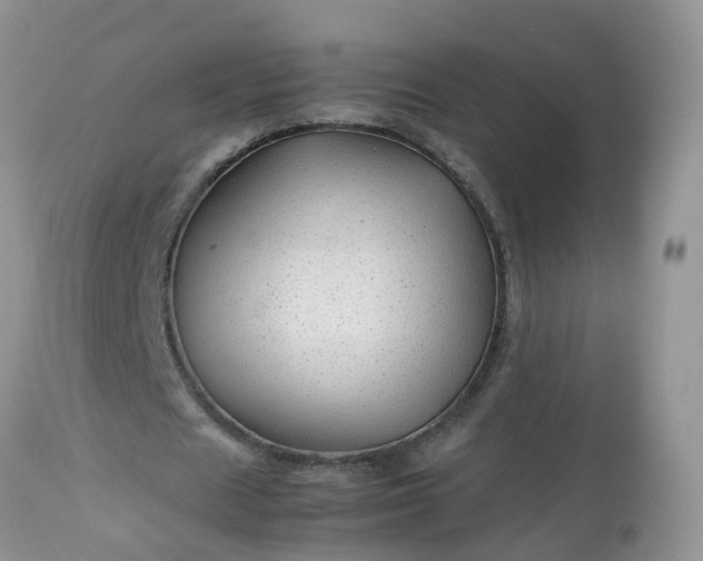 X0000113090625200909111028