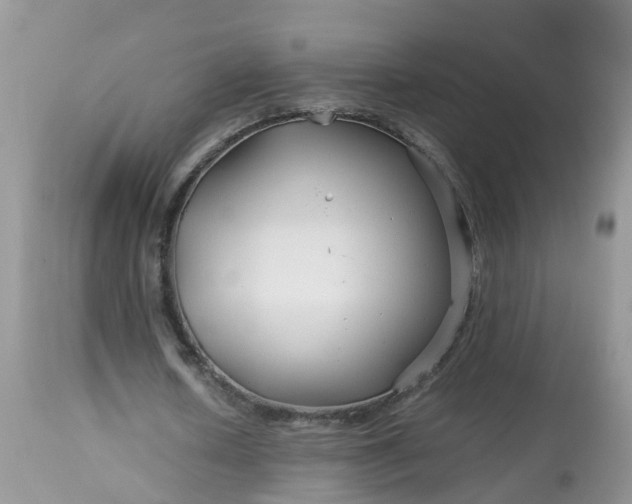 X0000113090626200909111028
